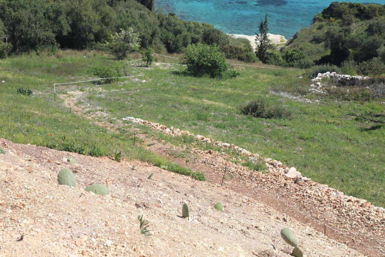 Apartmán Zante Xigia Bay Khartáta